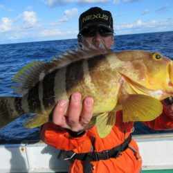 真祐丸 (しんゆうまる) 釣果