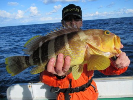 真祐丸 (しんゆうまる) 釣果