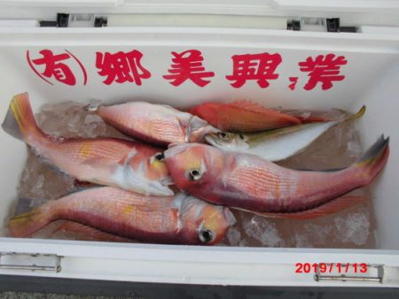 大進丸(新潟) 釣果