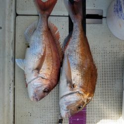 遊漁船 ニライカナイ 釣果