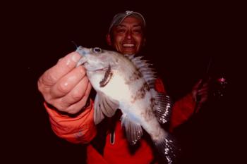 シーマジカル 釣果