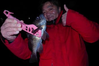 シーマジカル 釣果