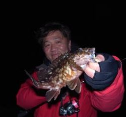 シーマジカル 釣果