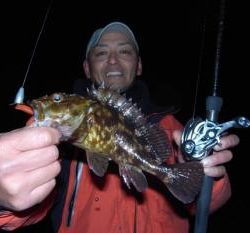 シーマジカル 釣果