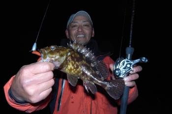 シーマジカル 釣果