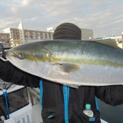 ＨＡＲＵＫＡ丸　はるかまる 釣果