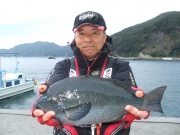 春日丸 釣果