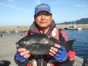 春日丸 釣果