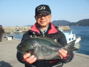 春日丸 釣果