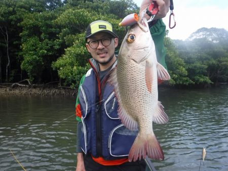 ローカルフィッシング 西表 マリンボックス 釣果