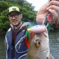 ローカルフィッシング 西表 マリンボックス 釣果