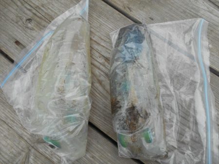 こかわ渡船　雅丸 釣果