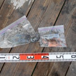 こかわ渡船　雅丸 釣果