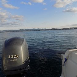 フィッシングボート空風（そらかぜ） 釣果