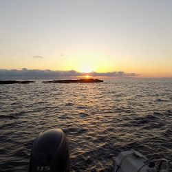 フィッシングボート空風（そらかぜ） 釣果