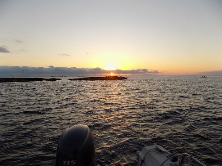 フィッシングボート空風（そらかぜ） 釣果