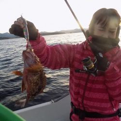 フィッシングボート空風(そらかぜ) 釣果