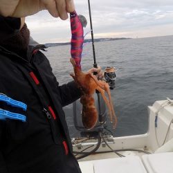 フィッシングボート空風（そらかぜ） 釣果