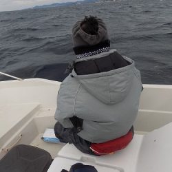 フィッシングボート空風（そらかぜ） 釣果