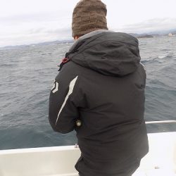 フィッシングボート空風（そらかぜ） 釣果