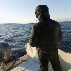 フィッシングボート空風(そらかぜ) 釣果