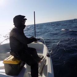 フィッシングボート空風(そらかぜ) 釣果