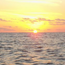 フィッシングボート空風(そらかぜ) 釣果