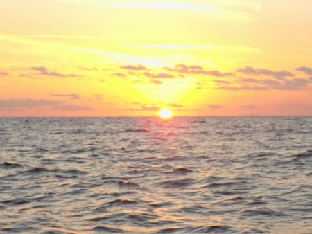 フィッシングボート空風(そらかぜ) 釣果