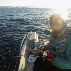 フィッシングボート空風(そらかぜ) 釣果