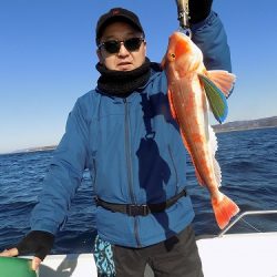 フィッシングボート空風(そらかぜ) 釣果