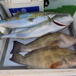 フィッシングボート空風(そらかぜ) 釣果