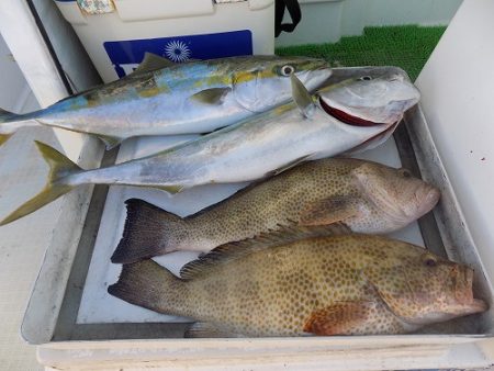 フィッシングボート空風(そらかぜ) 釣果