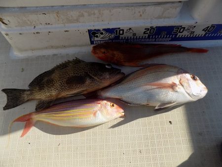 フィッシングボート空風(そらかぜ) 釣果