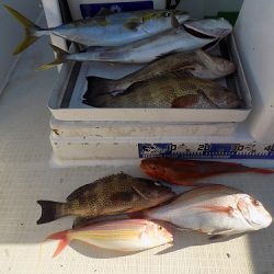 フィッシングボート空風(そらかぜ) 釣果