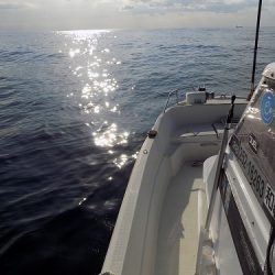 フィッシングボート空風(そらかぜ) 釣果