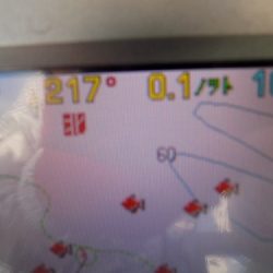 フィッシングボート空風(そらかぜ) 釣果