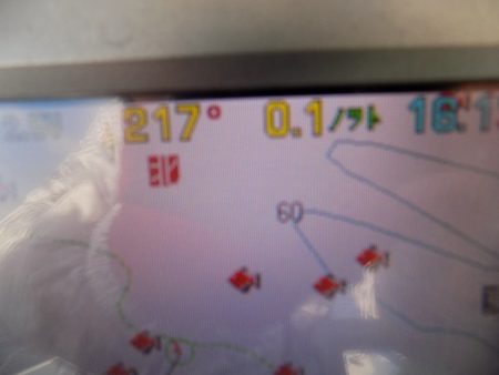 フィッシングボート空風(そらかぜ) 釣果