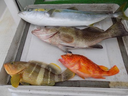 フィッシングボート空風（そらかぜ） 釣果