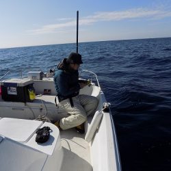 フィッシングボート空風（そらかぜ） 釣果