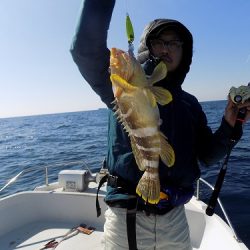 フィッシングボート空風（そらかぜ） 釣果