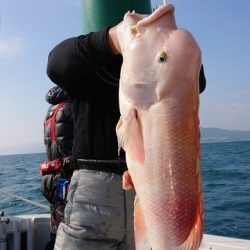 フィッシングボートACE(エース) 釣果