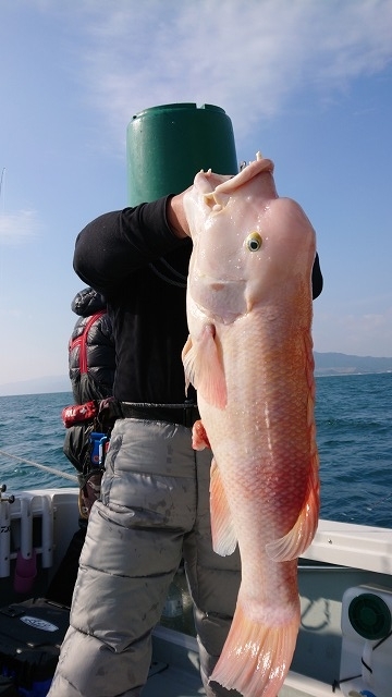 フィッシングボートACE(エース) 釣果