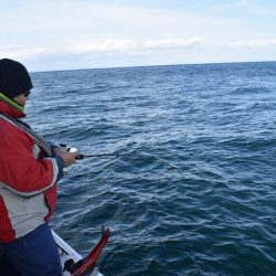 Fisherman Dreams DI 釣果