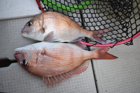 Fisherman Dreams DI 釣果