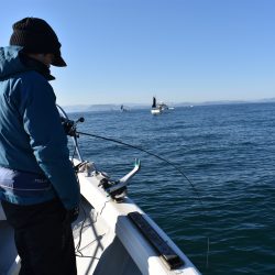 Fisherman Dreams DI 釣果