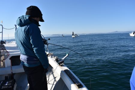 Fisherman Dreams DI 釣果