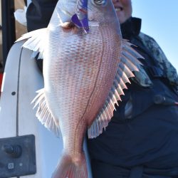 Fisherman Dreams DI 釣果