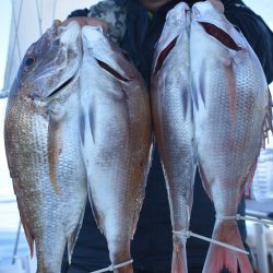 Fisherman Dreams DI 釣果