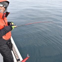 Fisherman Dreams DI 釣果