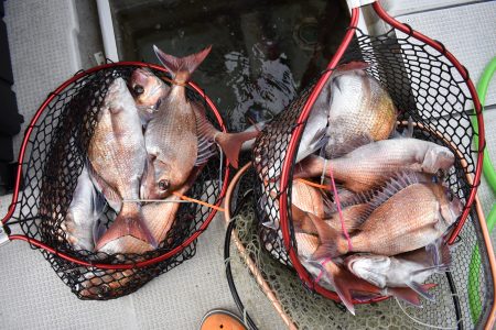 Fisherman Dreams DI 釣果